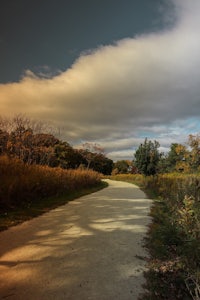 a dirt road in the middle of a field