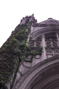 ivy growing on the side of a building