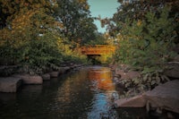 a bridge over a stream in a wooded area