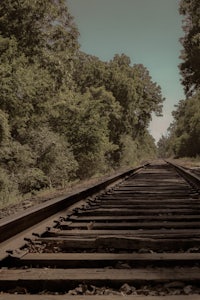 a train tracks in the woods