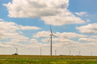 wind turbines in a field